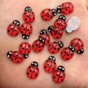60pcs of these Cute Red Lady Bugs