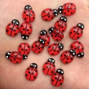 60pcs of these Cute Red Lady Bugs
